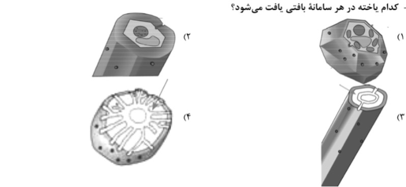 دریافت سوال 13