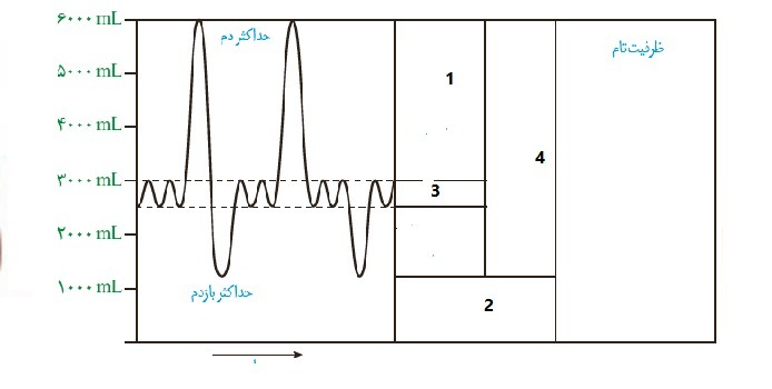 دریافت سوال 7