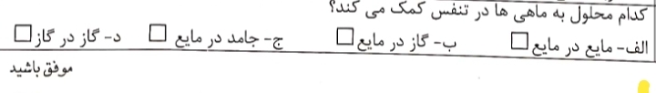 دریافت سوال 17