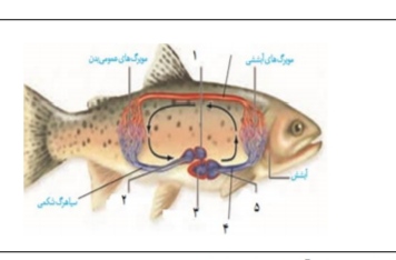 دریافت سوال 30