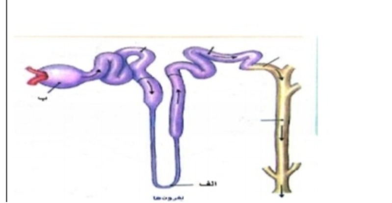 دریافت سوال 25