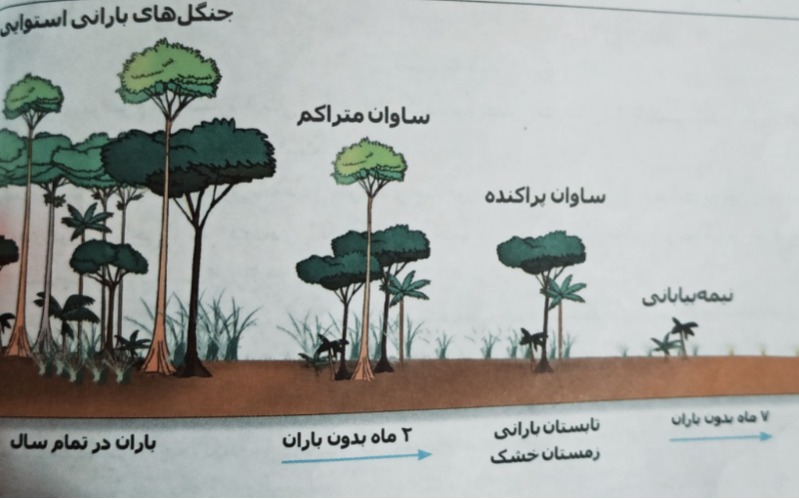 دریافت سوال 18