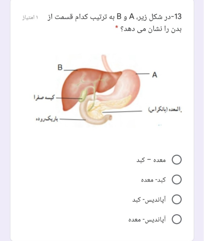 دریافت سوال 19