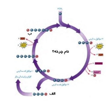 دریافت سوال 23