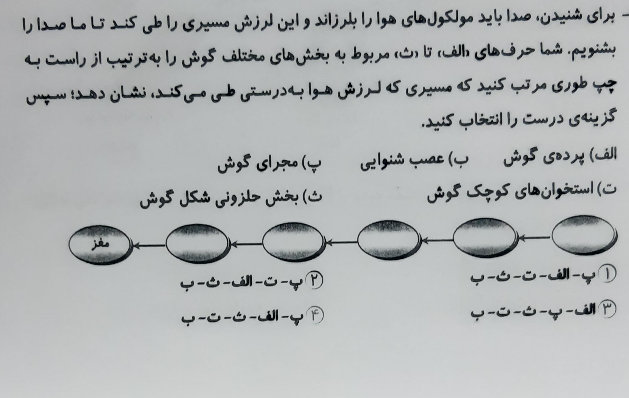 دریافت سوال 31