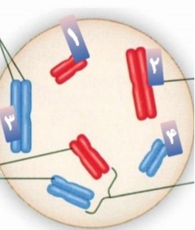 دریافت سوال 7