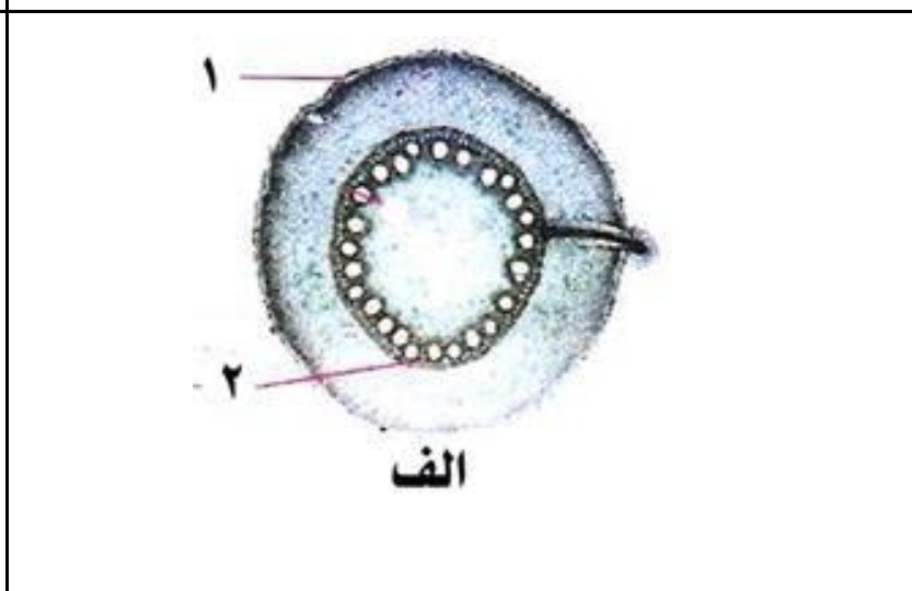 دریافت سوال 20