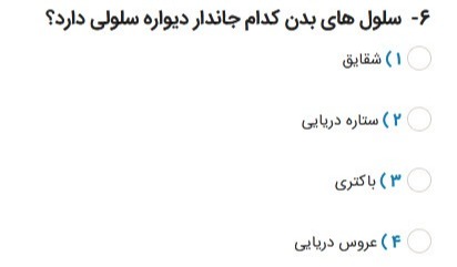 دریافت سوال 6