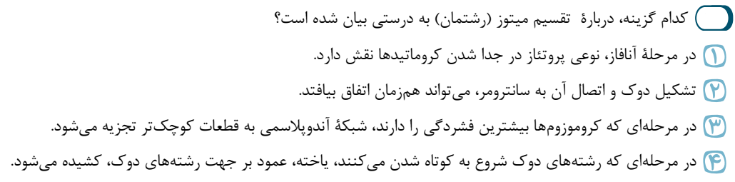 دریافت سوال 27
