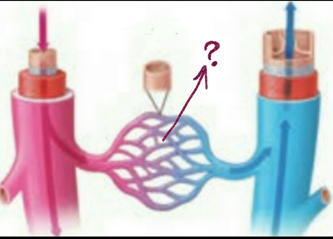 دریافت سوال 60