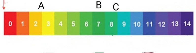 دریافت سوال 13