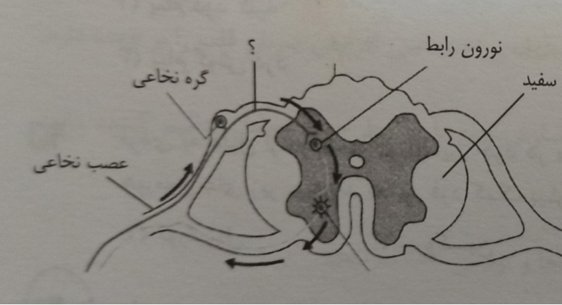 دریافت سوال 2