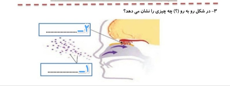 دریافت سوال 16