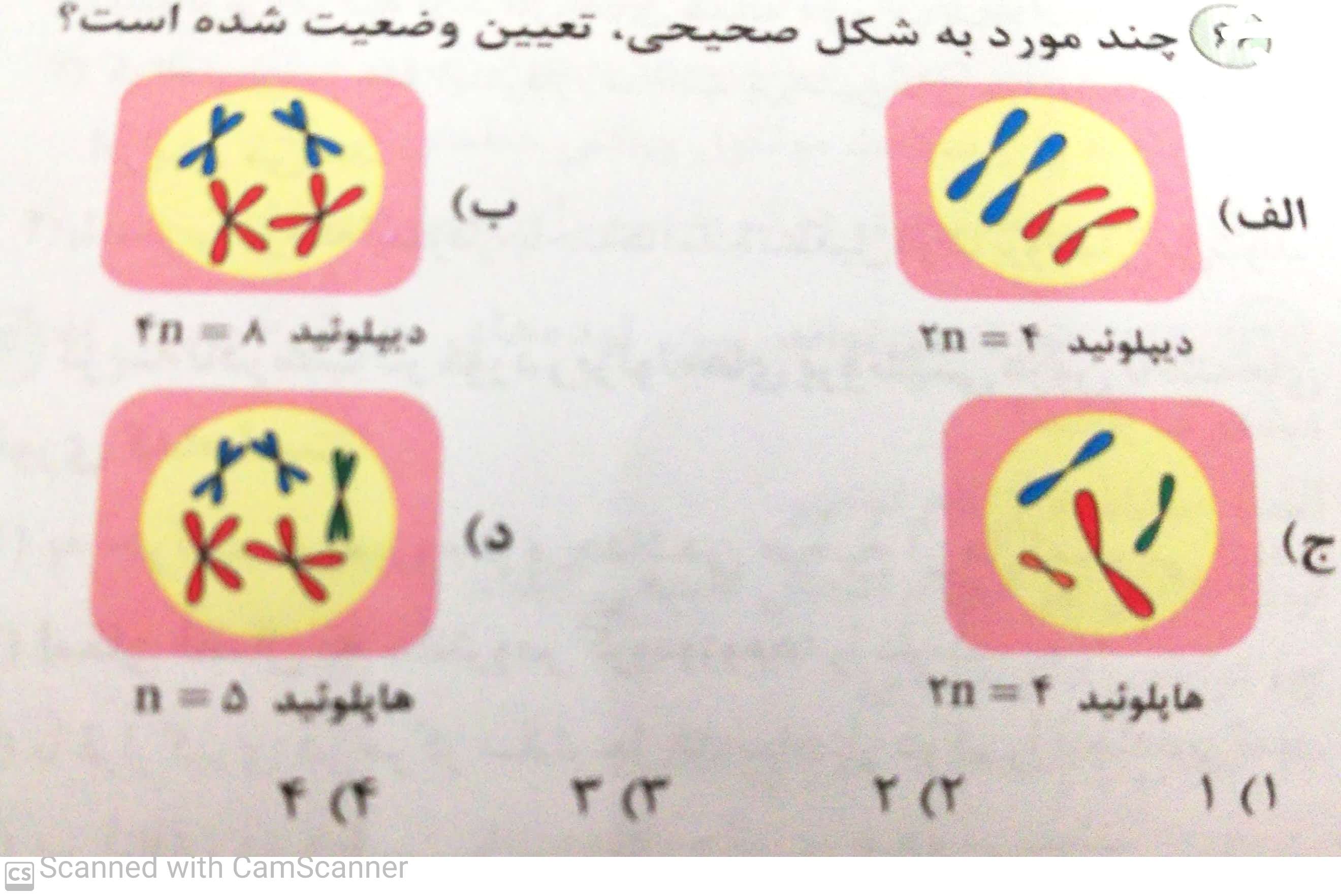 دریافت سوال 17