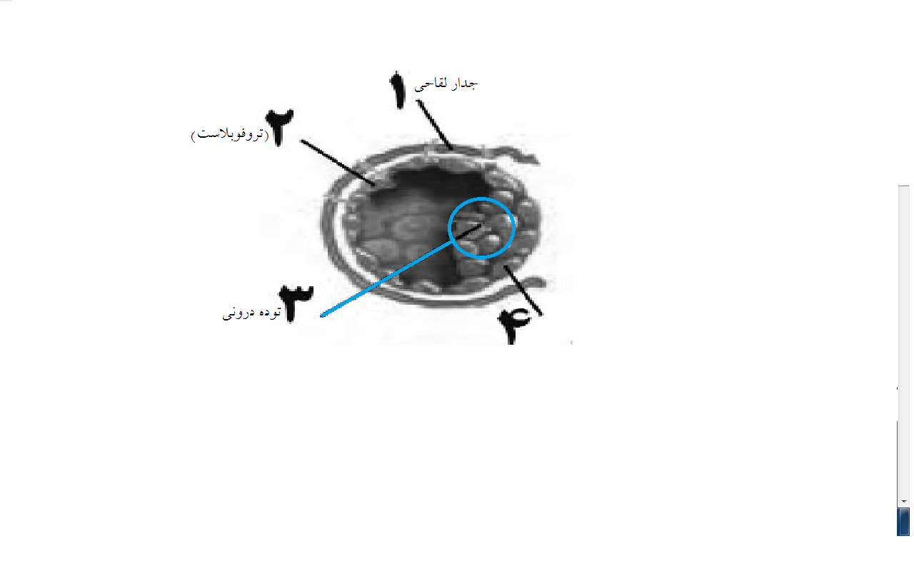 دریافت سوال 29