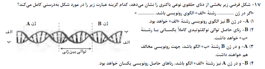 دریافت سوال 17