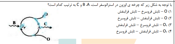 دریافت سوال 12