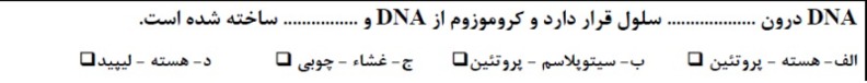 دریافت سوال 11