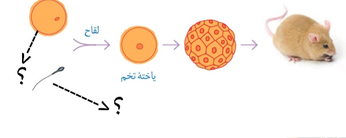 دریافت سوال 18