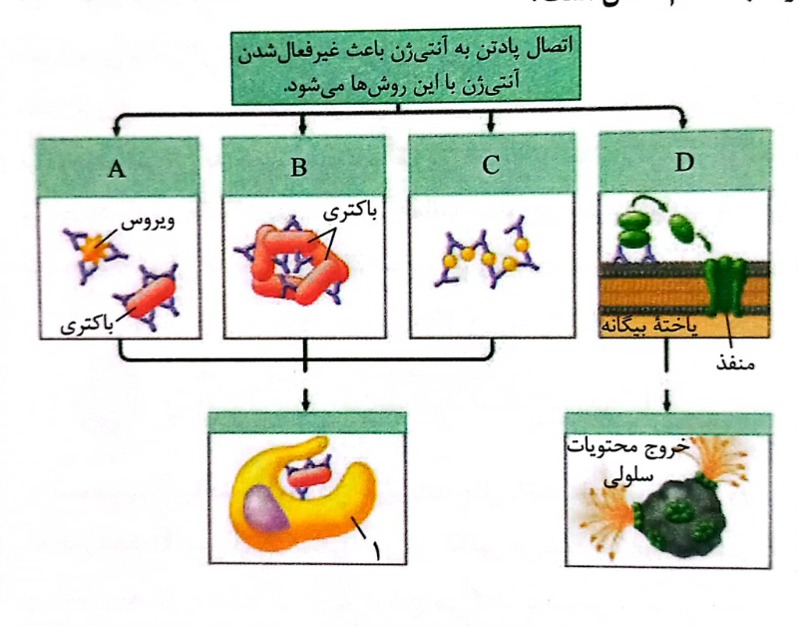 دریافت سوال 4