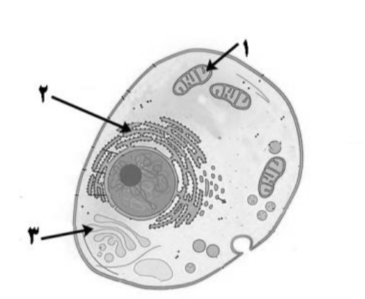 دریافت سوال 6