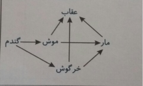 دریافت سوال 9