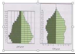 دریافت سوال 13