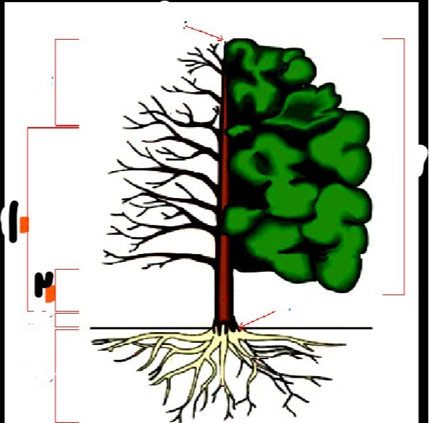 دریافت سوال 3