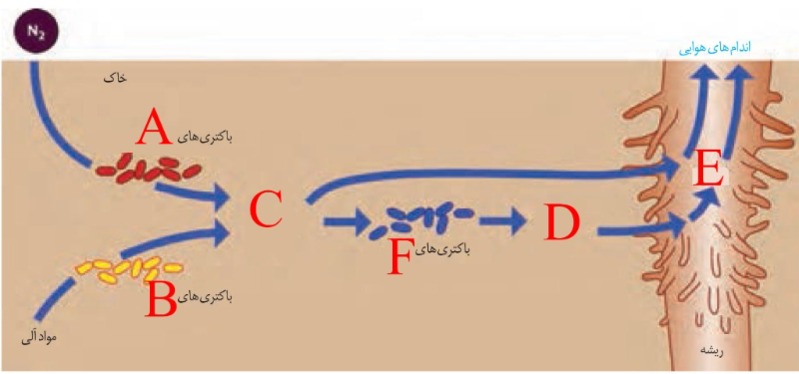 دریافت سوال 14