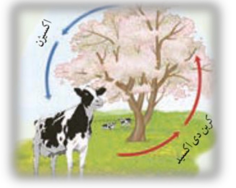 دریافت سوال 18