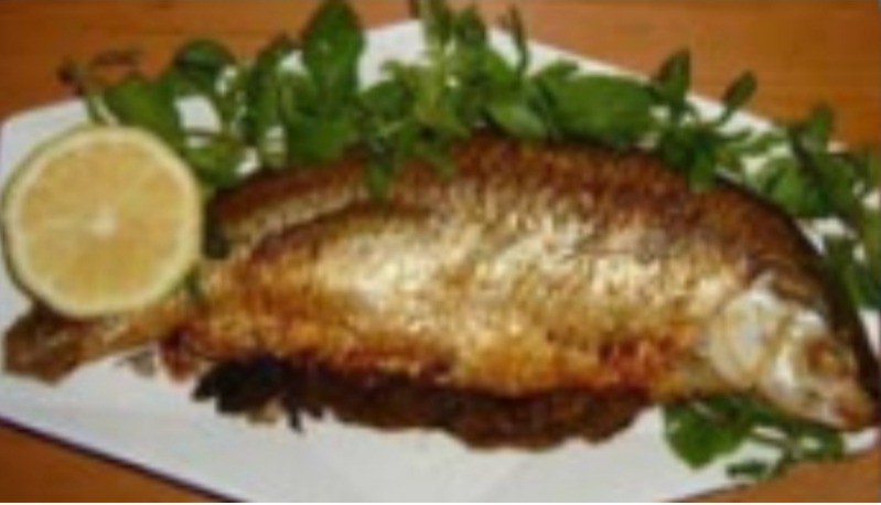 دریافت سوال 18