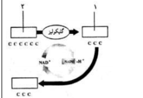 دریافت سوال 7