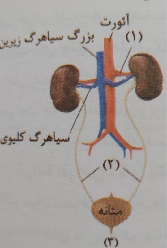 دریافت سوال 28