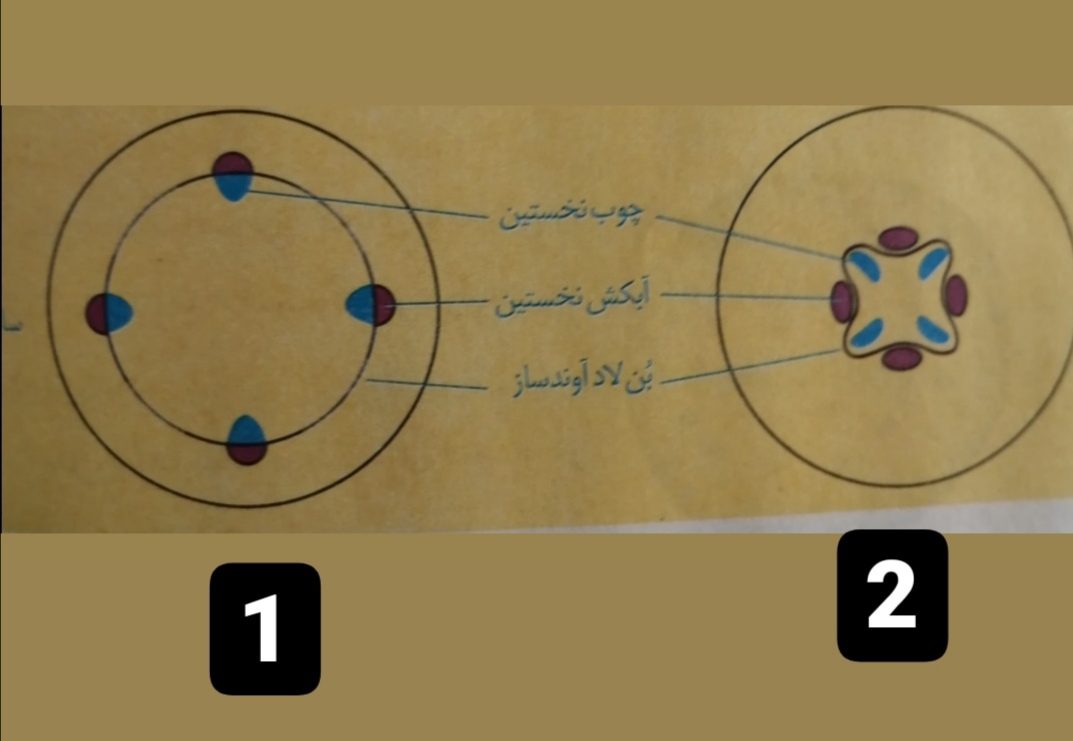 دریافت سوال 22