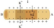 دریافت سوال 4