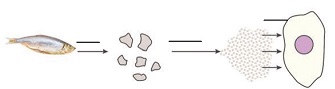 دریافت سوال 36