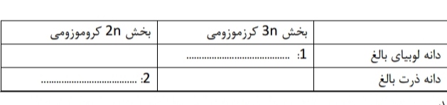 دریافت سوال 17