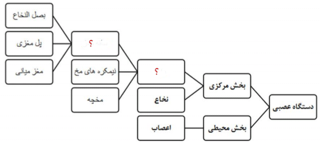 دریافت سوال 3