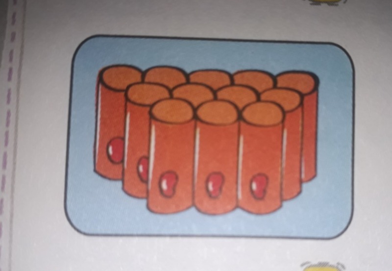 دریافت سوال 4