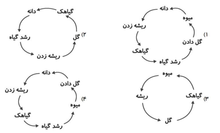 دریافت سوال 17