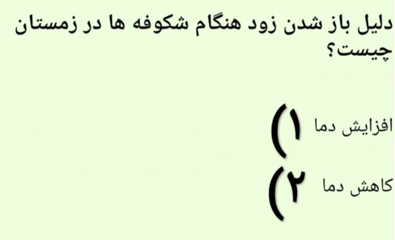 دریافت سوال 17