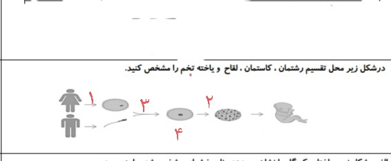 دریافت سوال 7