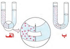 دریافت سوال 14