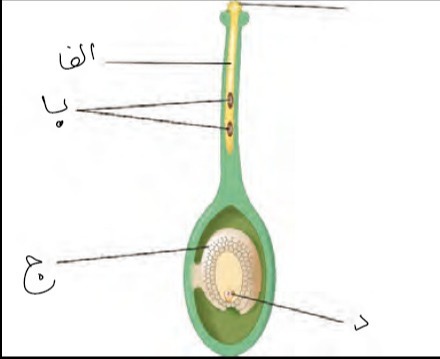 دریافت سوال 3