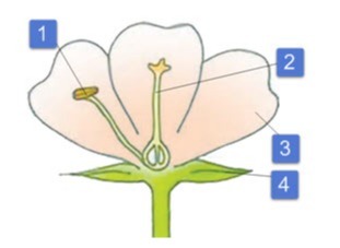 دریافت سوال 12