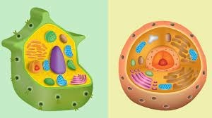 دریافت سوال 18