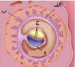 دریافت سوال 8