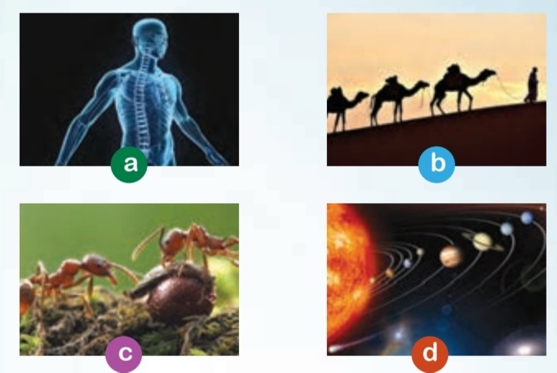 دریافت سوال 5