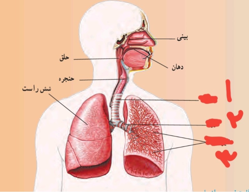 دریافت سوال 2