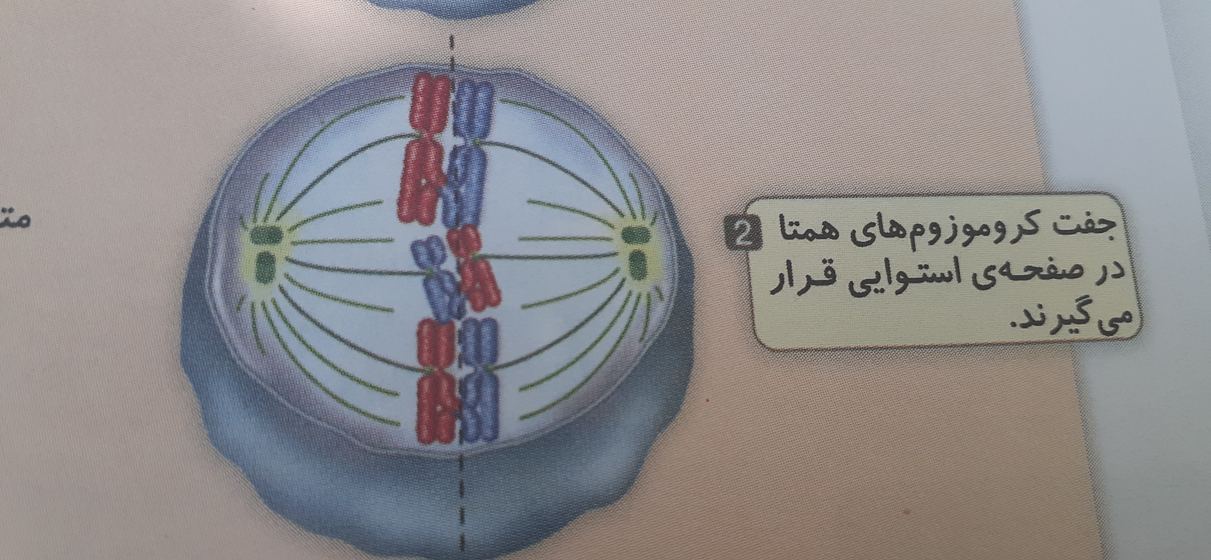 دریافت سوال 14